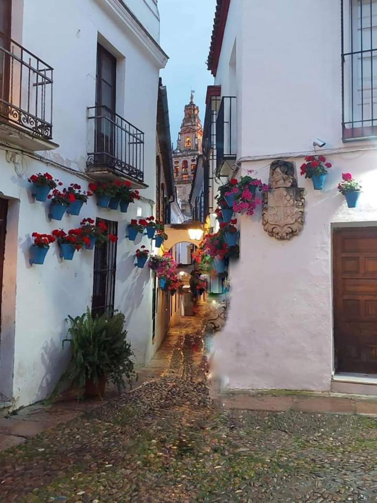 Nieves Viejas Los Patios Cordoba Ngoại thất bức ảnh