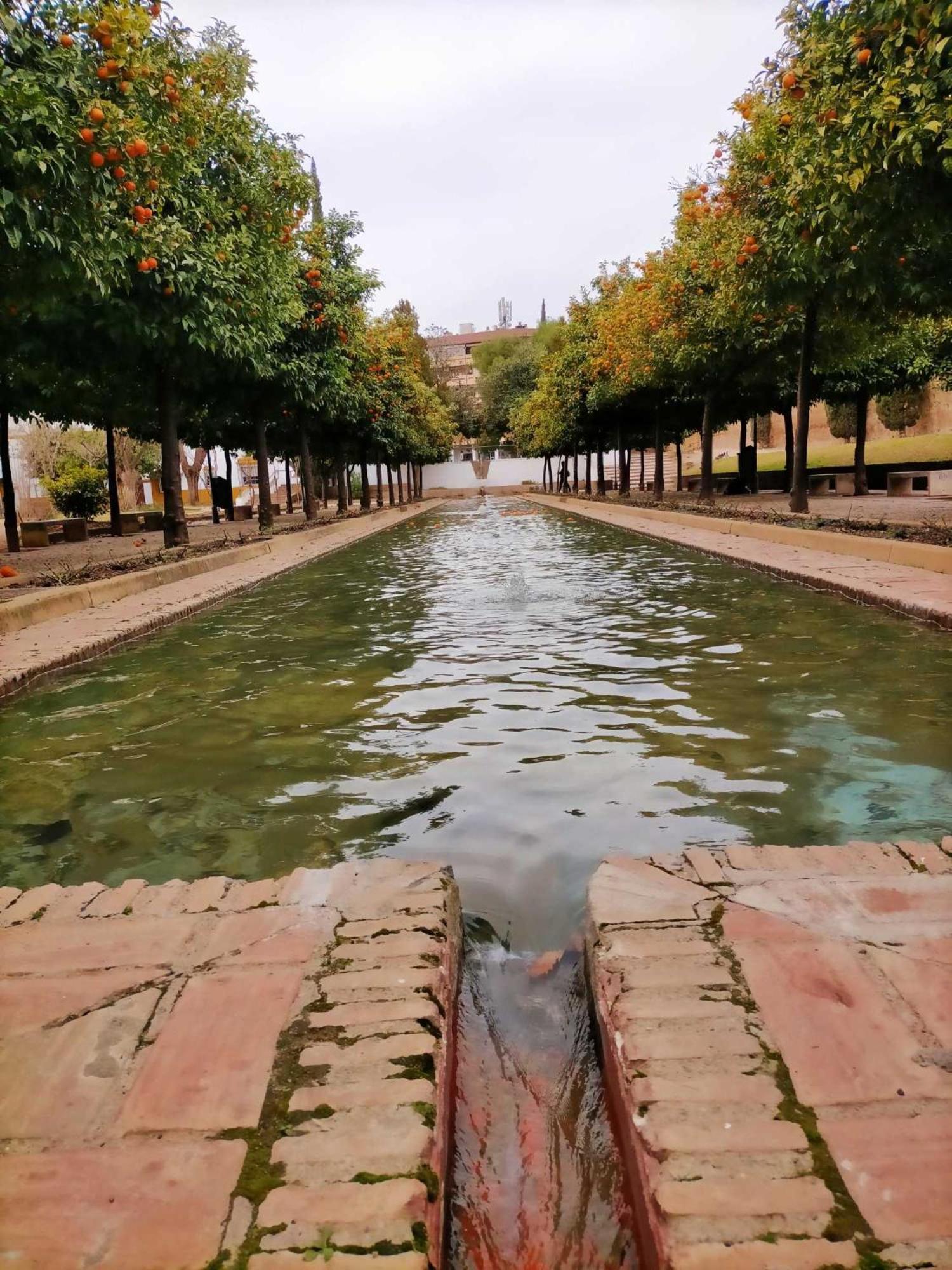 Nieves Viejas Los Patios Cordoba Ngoại thất bức ảnh