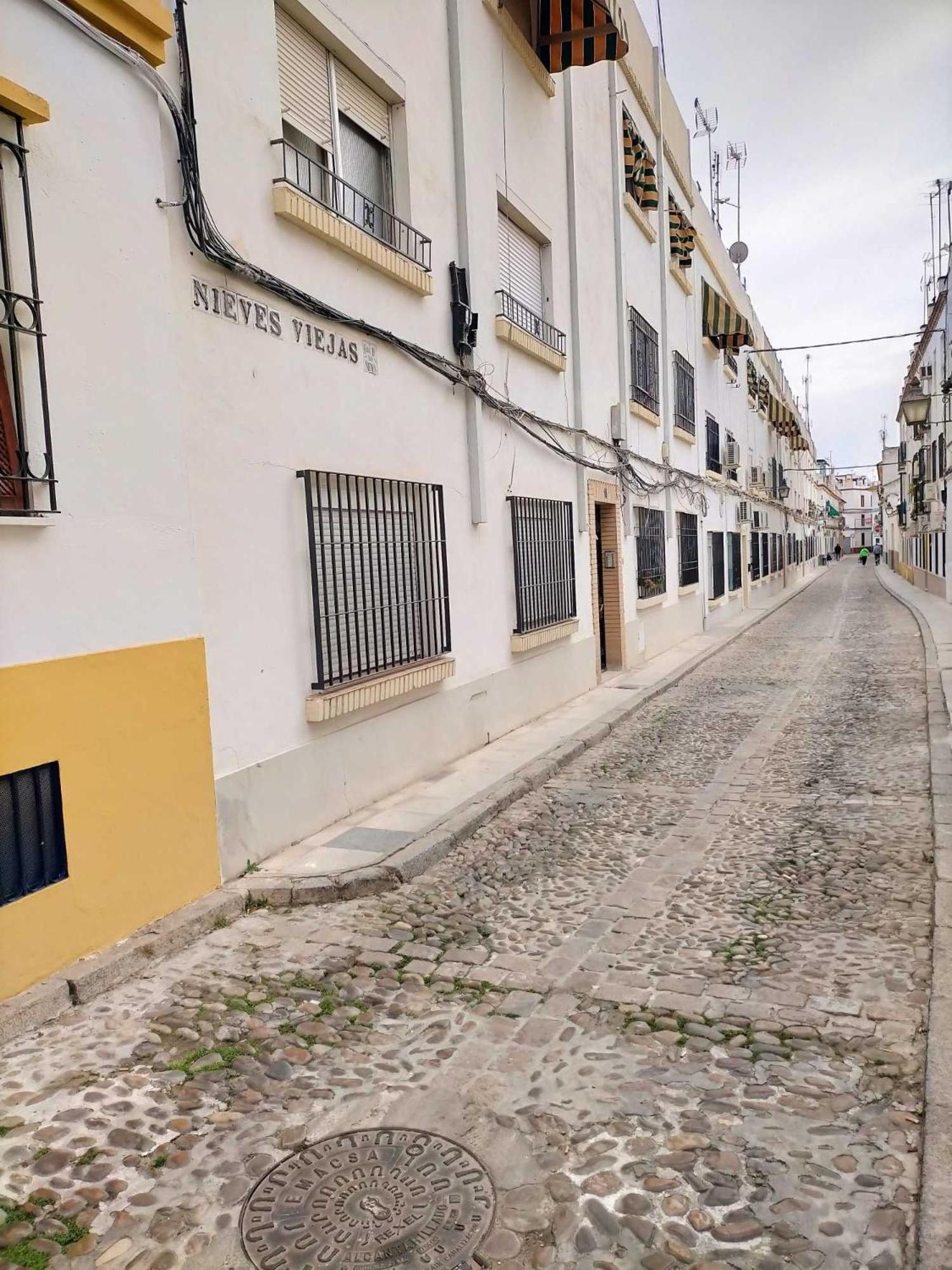 Nieves Viejas Los Patios Cordoba Ngoại thất bức ảnh